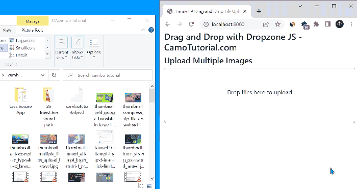 dropzone demo laravel upload file