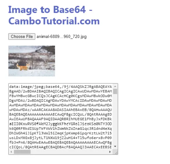 javascript image to base64 string display
