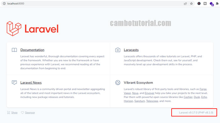 install laravel 9 home page demostration