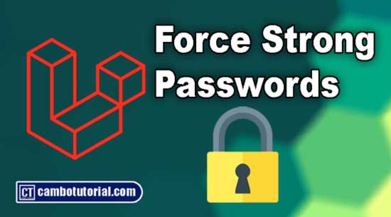 Laravel Force User Setup Strong Password