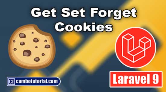 How to Get, Set, Delete and Check Cookie in Laravel