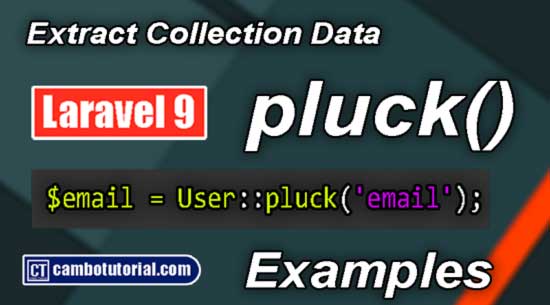 Laravel Pluck() - Collection Method to Extract Values