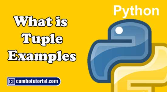 Python Tuples Tutorial